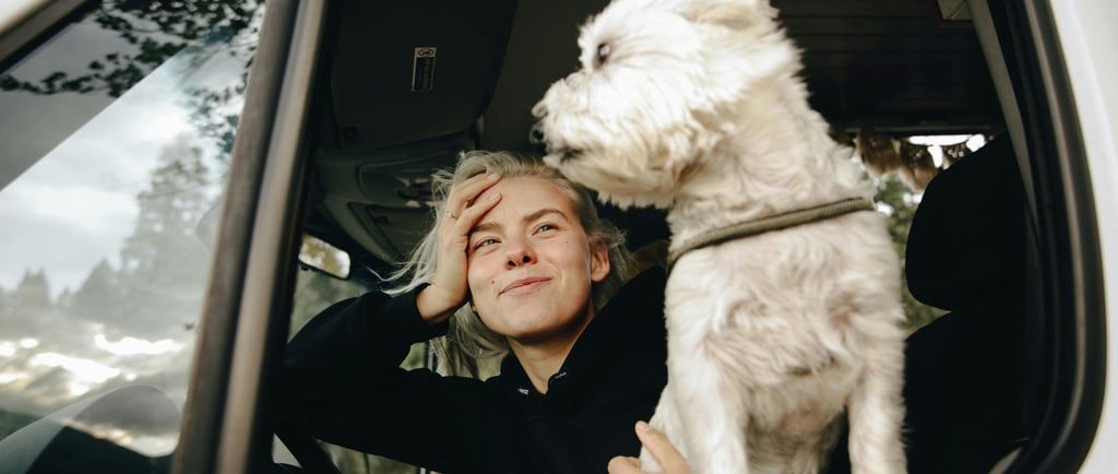 road trip with a pet
