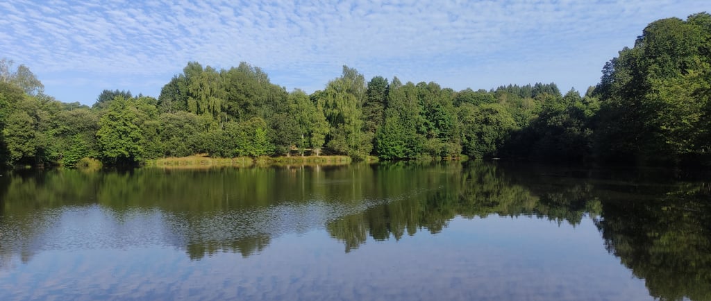 Lake Exclusive Carp Fishing Holiday in France for 7, 8 or 9 nights. Drive, Drive and Survive, Fly and Hire, Food Package
