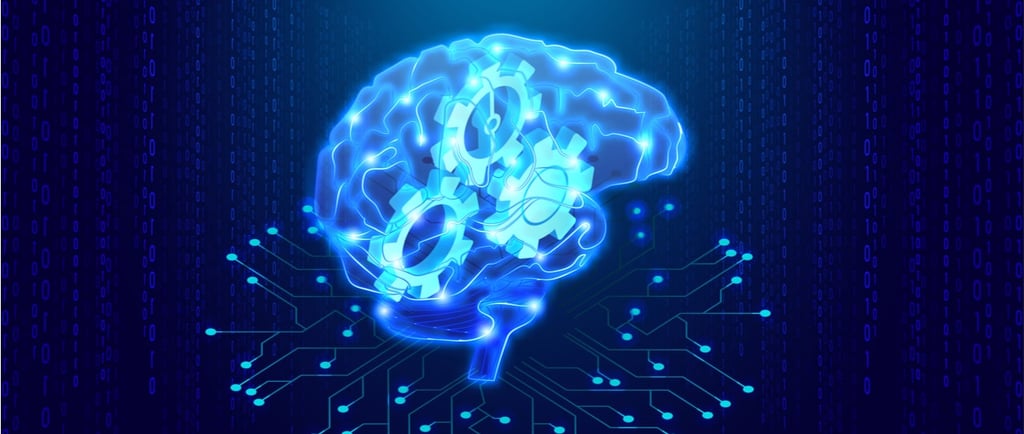 a brain map of a brain and a brain map of a brain