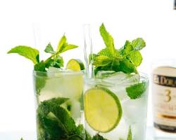 Mojito and recipes from www.bookabartender.online