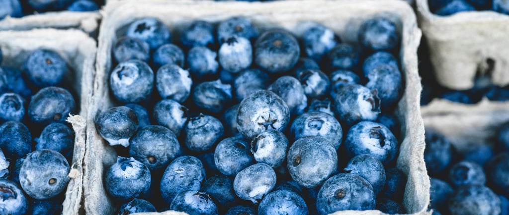 blueberries in a carton