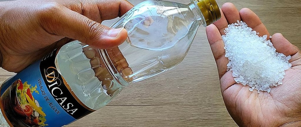 Vinagre e Sal Grosso