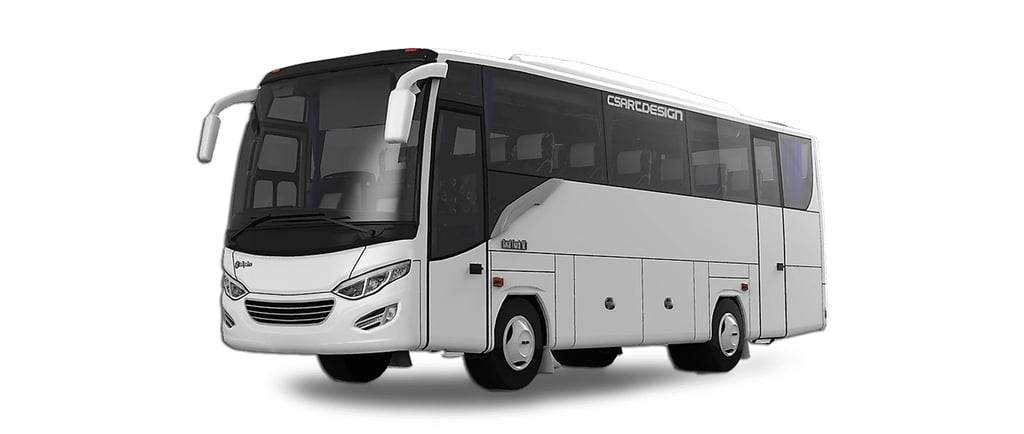 Bus 30 seat - Transport service