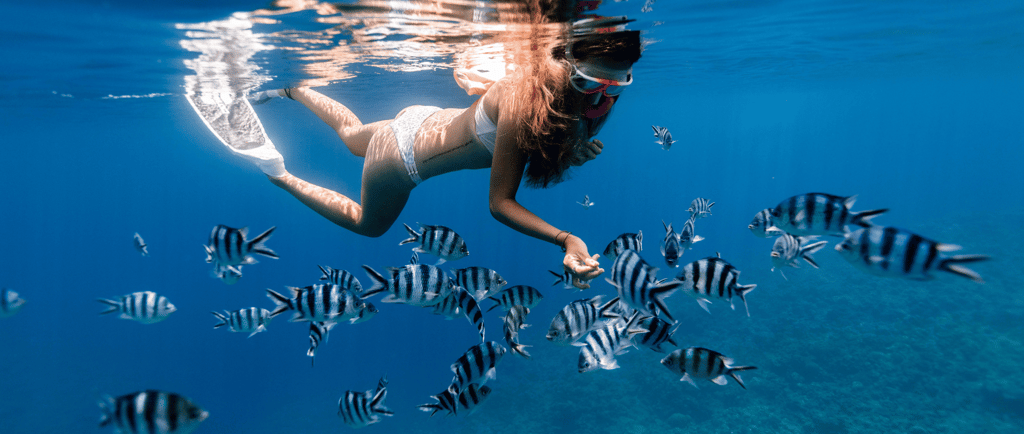 snorkelinimas