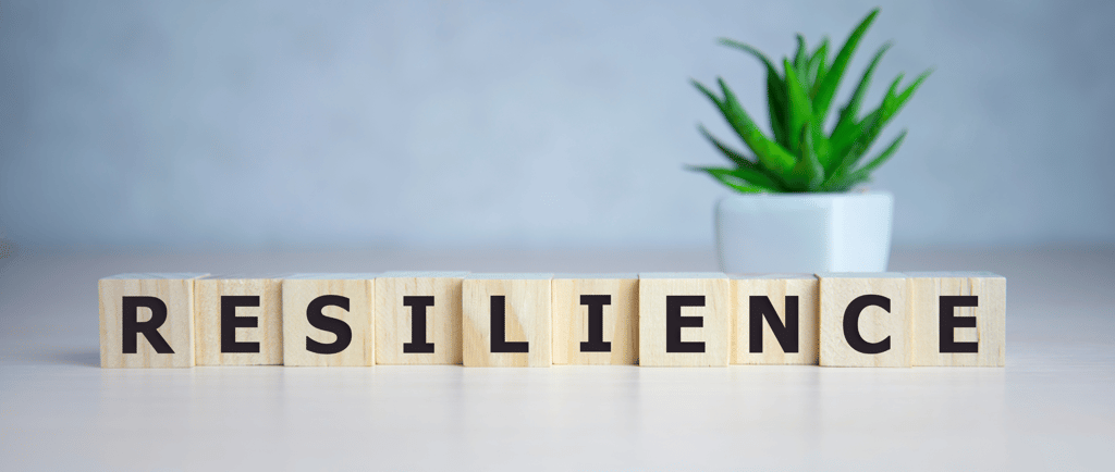 resilience