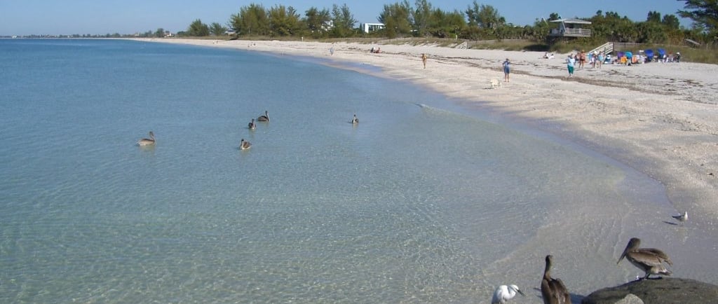 swimmers at the Beach in nokomis fl