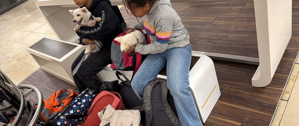 two girls sitting on luggage bags with their little dogs 