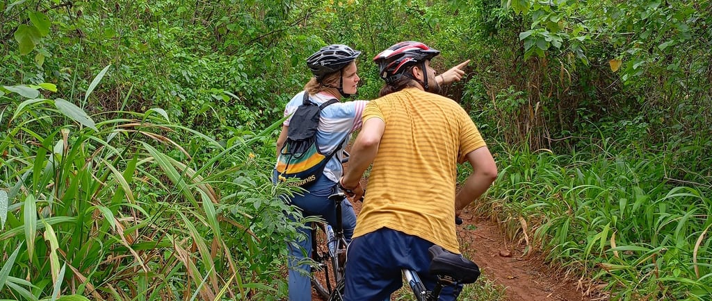 Looking out for Monkies in Mabira forest on bikes