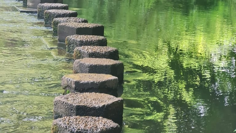 Steps to overcome chronic pain