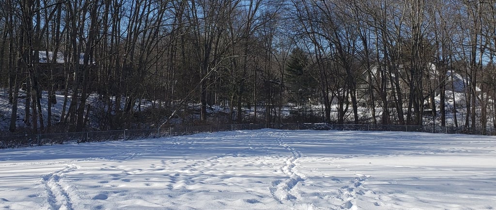 CT- snow- neve-description Italian -Pascoli-Poetry-poesia