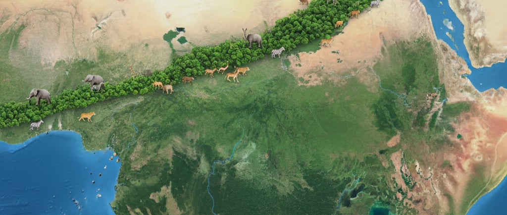 Conservation Corridors: A satellite-view map showing a wide, green corridor of forest and savanna connecting 