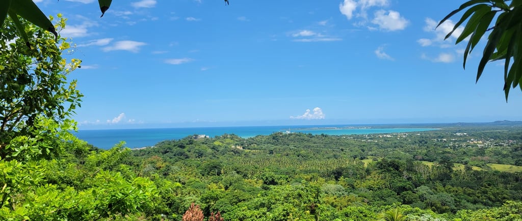Procédure d'achat d'un terrain en République Dominicaine
