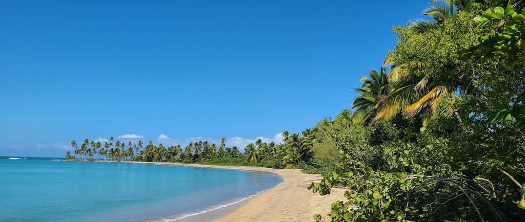 Las 3 Playas Más Bellas de Miches: Esmeralda, Arriba & Limón