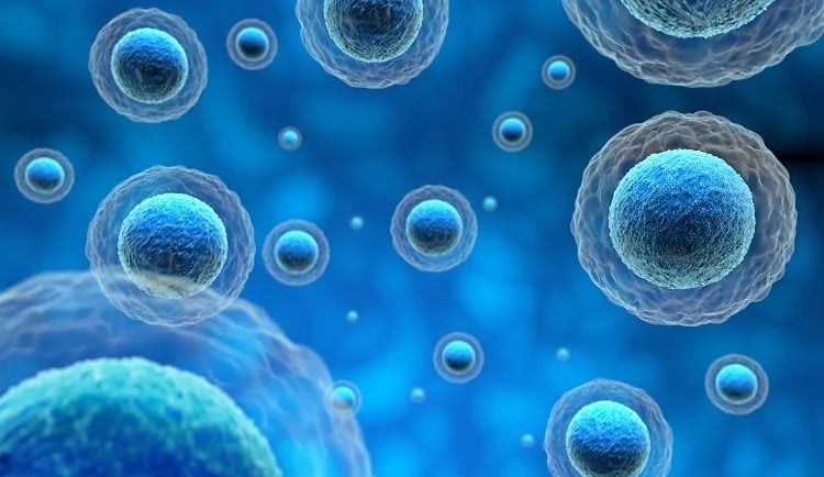 Exosome at Cosmetic Scientist