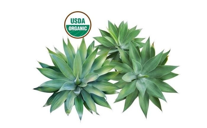 Organic Agave Ferment at Cosmetic Scientist