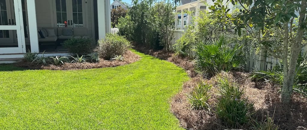 Backyard landscape with manicured green lawn, pine straw mulch, and native garden shrubs.