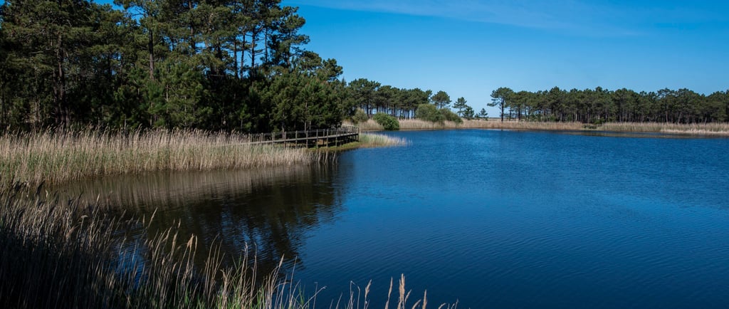 Lagoa de Pataias em Alcobaça, um refúgio natural na Costa de Prata ideal para famílias e amantes da 