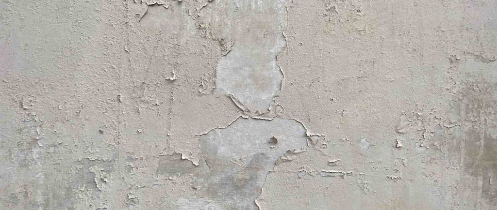 Historic plaster detail on a Broadmoor estate home, a material that requires a different mold restoration approach