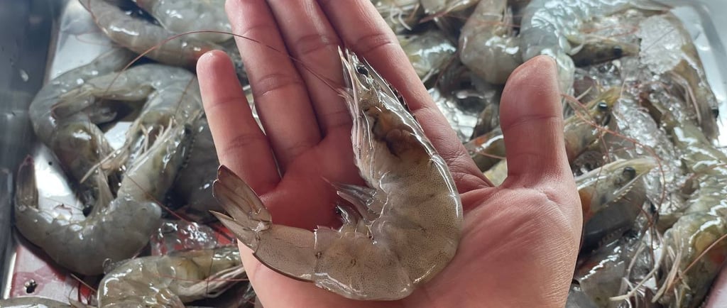 ปิติหมูกระทะ