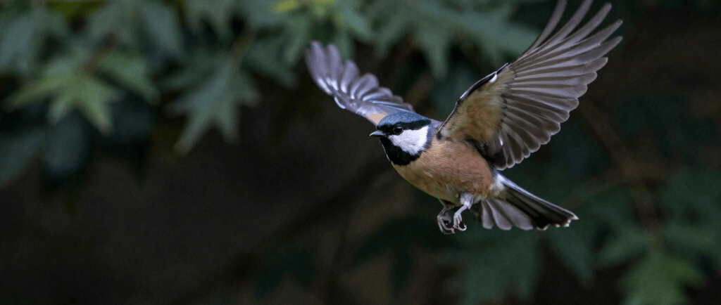 Crowd watches a parade at night with colorful lights.