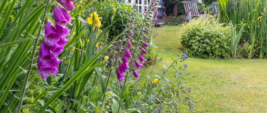 Pink foxgloves in a lush cottage garden with a green lawn leading to a blue wooden summerhouse.