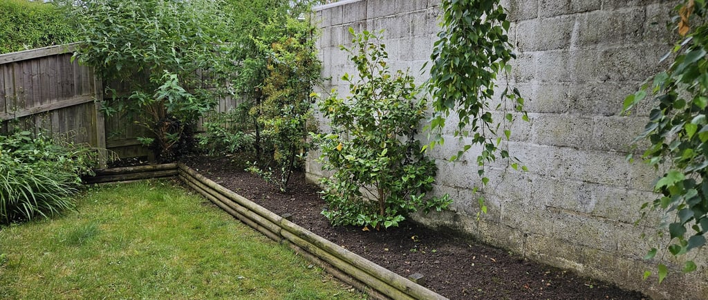 Garden bed with fresh dark soil next to a lawn and grey concrete wall.