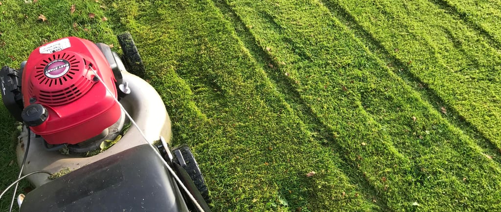 Lawn mower cutting a lush green backyard with visible grass stripes.