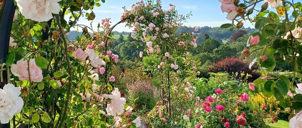 A scenic gravel garden path under a climbing rose arch with blooming pink and white roses.