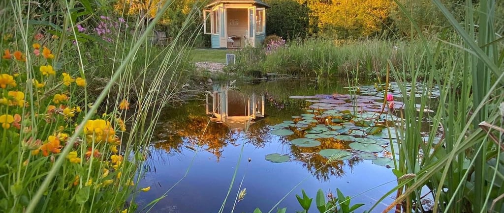 A scenic garden pond with water lilies reflecting a small wooden gazebo at sunset.