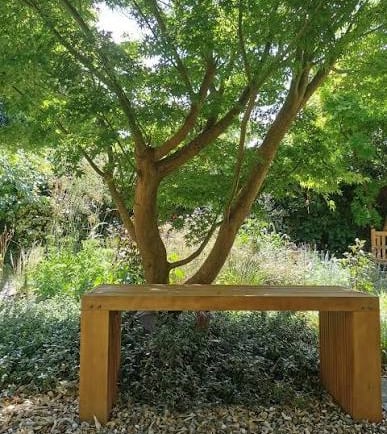A wooden garden bench sits on a gravel path beneath the shade of a lush green Japanese maple tree.