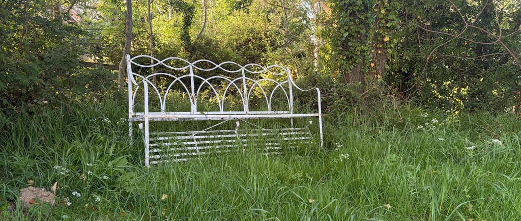 White metal decorative garden bench sitting in long green grass surrounded by lush trees and foliage.