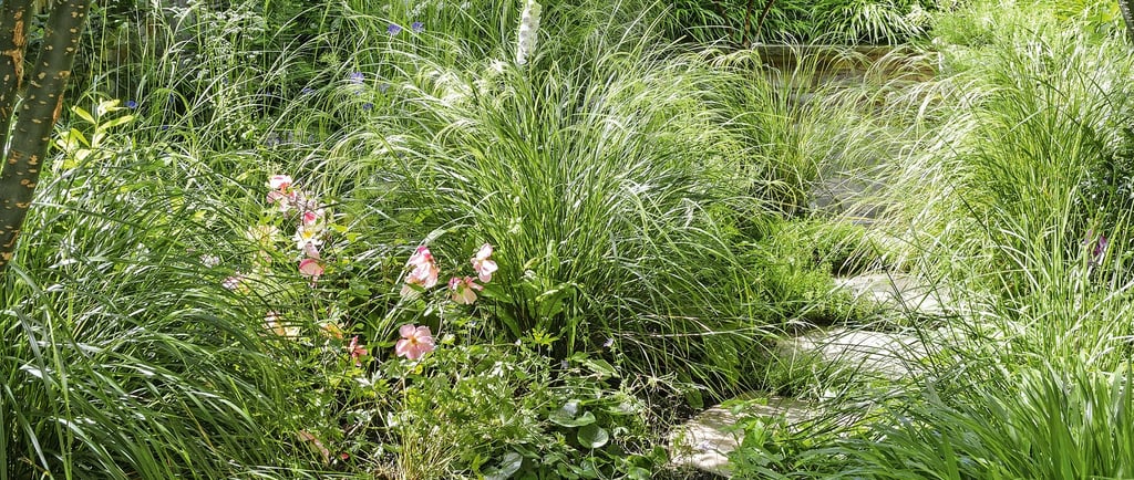 Lush garden landscape featuring a stone stepping path surrounded by ornamental grasses and pink flowers.