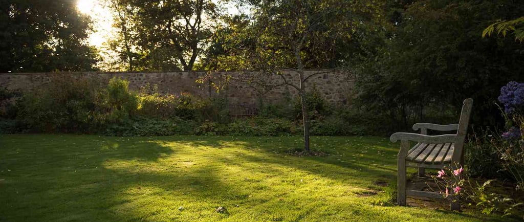 A wooden garden bench sits on a sunlit green lawn in a peaceful backyard garden with stone walls.