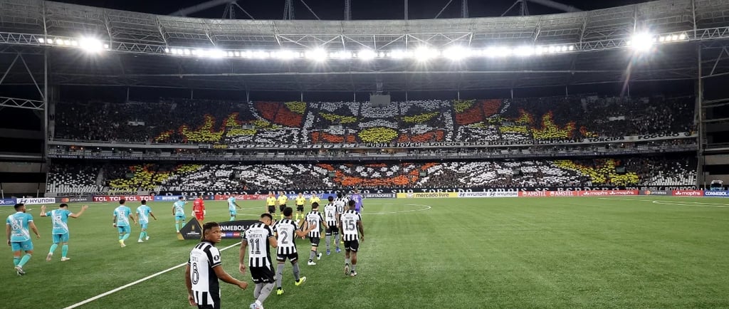Mosaico do Botafogo na Libertadores