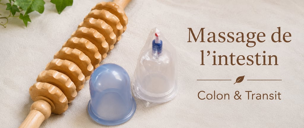 Ventouses silicone et rouleau bois massage abdominal colon et transit intestinal naturel