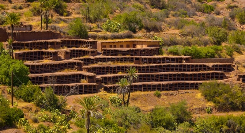 rucher d’Inzerki au Maroc, apiculture traditionnelle, miel rare