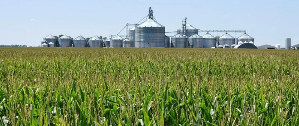 Biodiesel Industry in Brazil