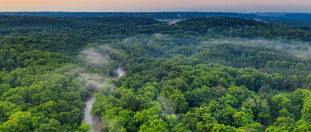 Amazon Forest From Above