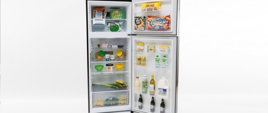 LG GT-6MB Fridge Freezer