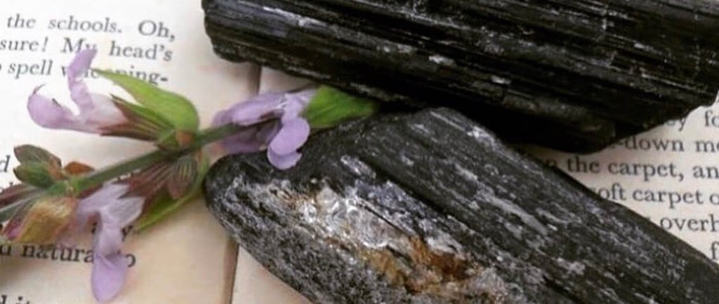 Black Tourmaline crystals with lavender on book pages