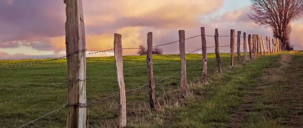 Resolvendo Conflitos de Limites de Propriedade Rural: Estratégias Jurídicas e Práticas para Produtor