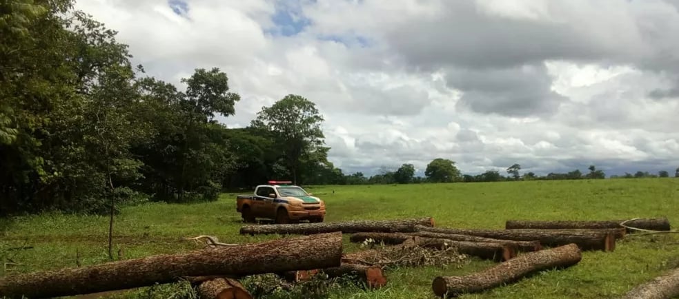 Contestação de Autuações Ambientais na Propriedade Rural: Estratégias Legais para Proteger os Direit