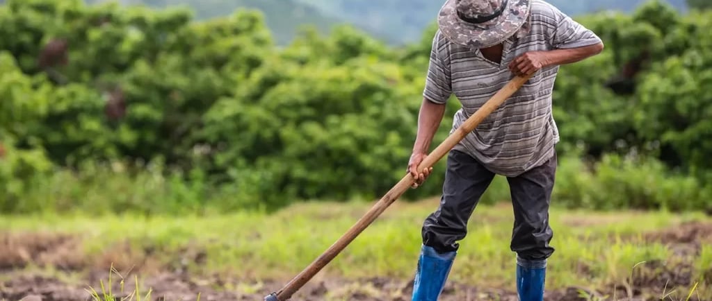 Implicações Legais em Contratos Agrários: Arrendamento e Parceria Rural