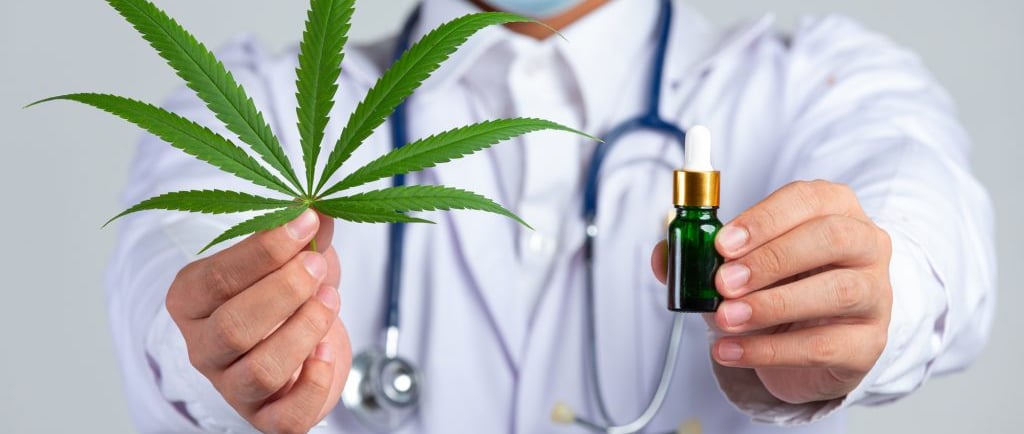 Licença para Manuseio, Plantio e Uso de Cannabis Medicinal: Entenda seus Direitos