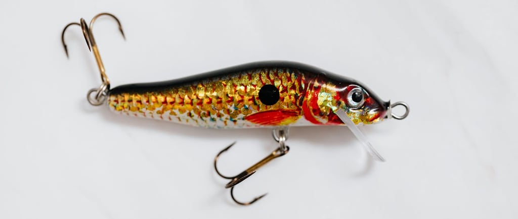 Photo by Karola G: https://www.pexels.com/photo/orange-and-black-fish-bait-on-white-surface-6478090/