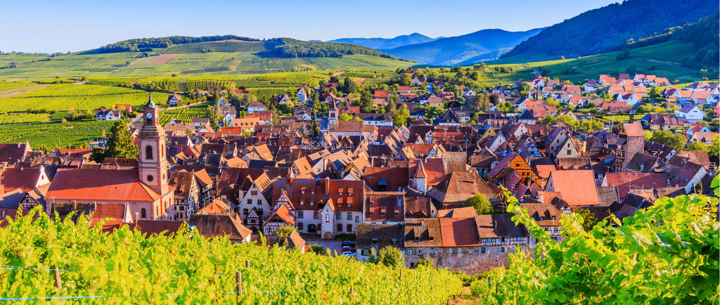 Panoramic view of Riquewihr village in Alsace, France, surrounded by lush green vineyards and mountains.