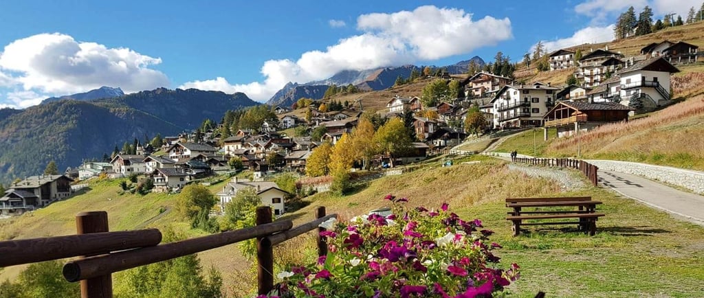 Scenic Alpine village in the Italian mountains with blooming purple flowers and rustic wooden benches.