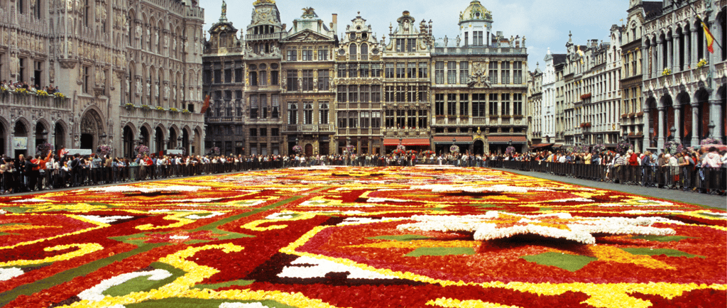 A colorful begonias flower carpet at Grand Place in Brussels with ornate gothic architecture.