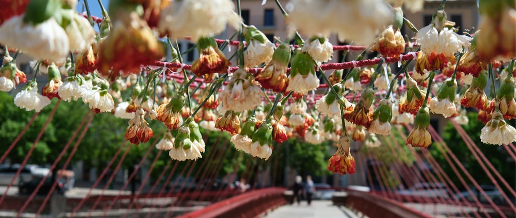 White and orange carnations hanging from red ropes over the iconic Eiffel Bridge in Girona, Spain.