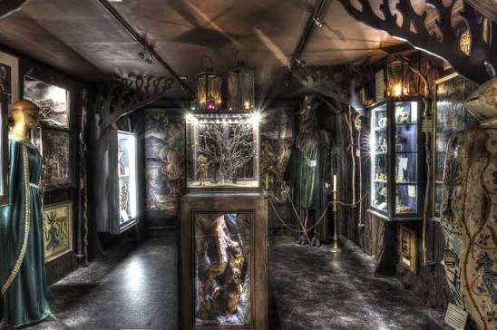 A dimly lit fantasy museum gallery filled with mystical artifacts, gothic decor, and ornate display cases.